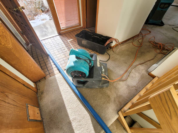 Best Commercial water damage restoration  in Red Bank, NJ