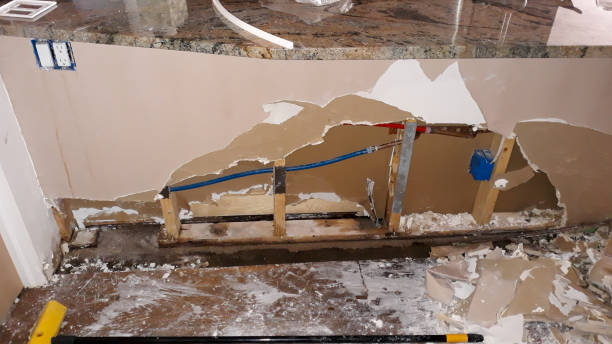 Best Professional water damage repair  in Red Bank, NJ
