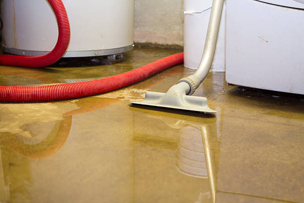 Best Local water damage restoration  in Red Bank, NJ