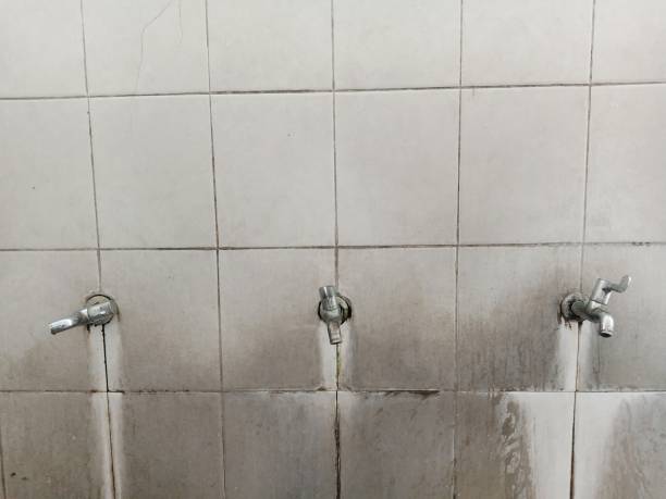 Best Water damage cleanup near me  in Red Bank, NJ